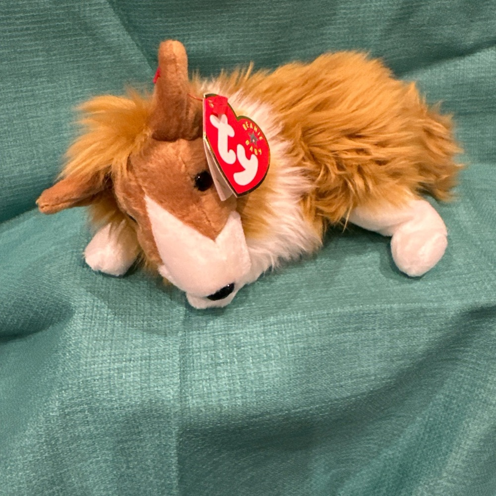 Cassie the Collie Ty Beabie Baby NWT!!